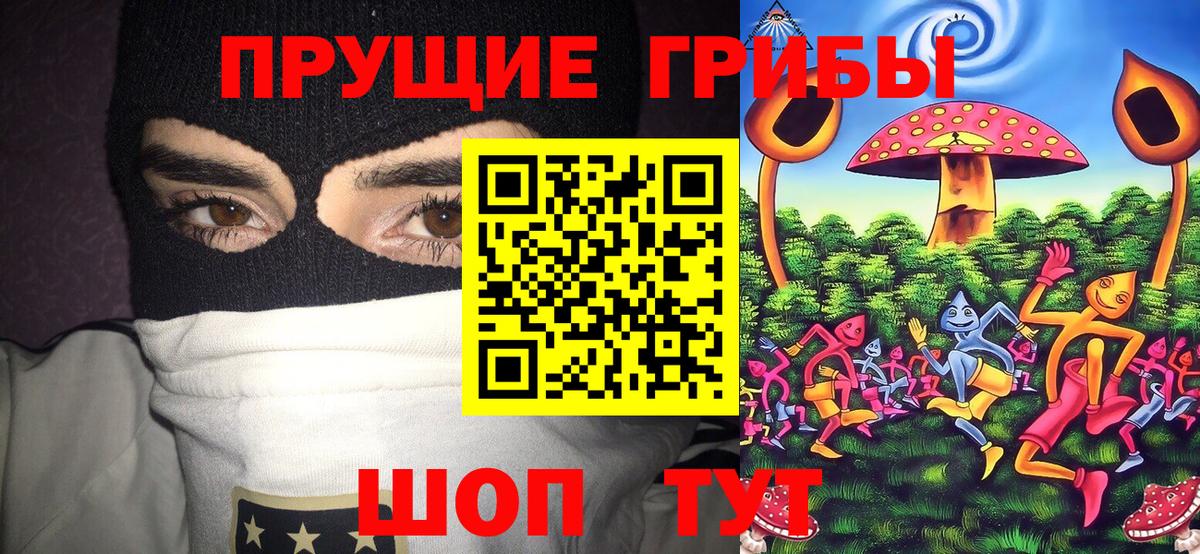 Галлюциногенные грибы ЛСД  Вход с VPN  Полевской 