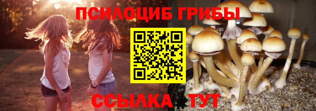 Псилоцибиновые грибы GOLDEN TEACHER Полевской